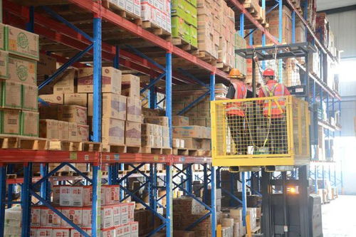 数字化转型 一场被低估的食品行业物流战争